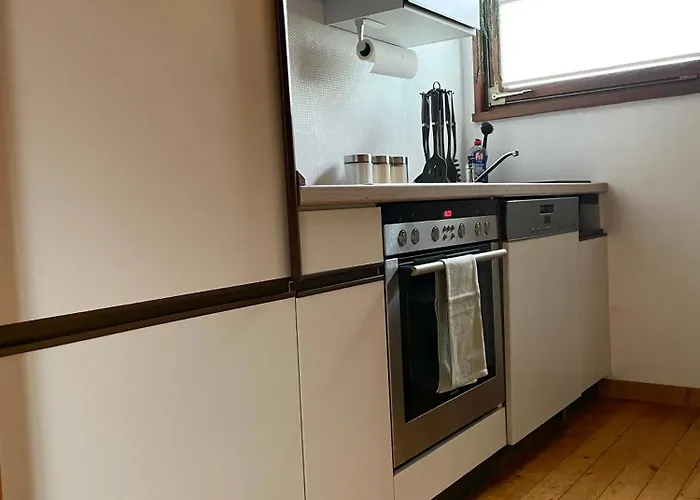 Nur-dach-haus Am Alfsee Feriehus Rieste