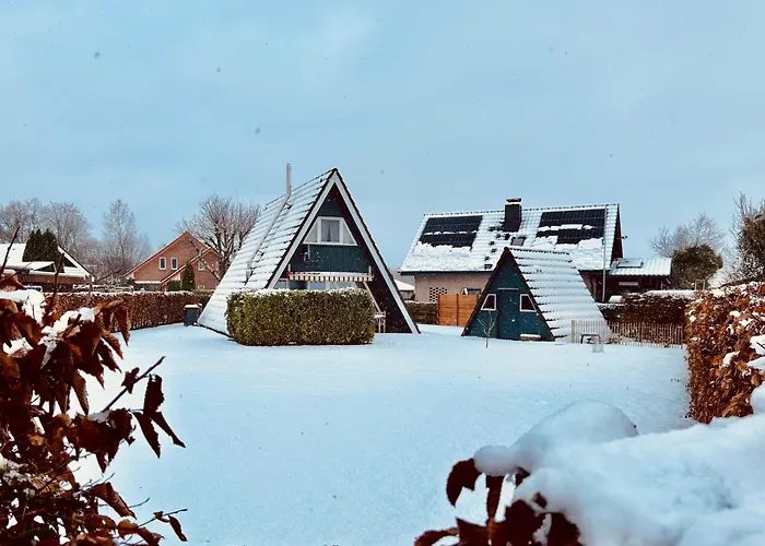 Nur-dach-haus Am Alfsee Feriehus Rieste